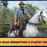 Red Dead Redemption 2 startet nicht