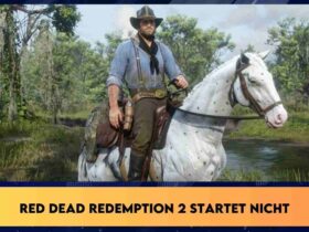 Red Dead Redemption 2 startet nicht