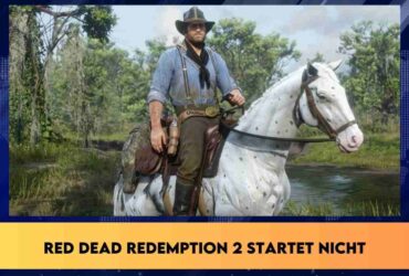 Red Dead Redemption 2 startet nicht