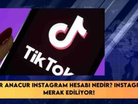 TikTok Lässt Sich Nicht Offnen+