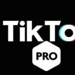 Wie Viel Geld Verdient Man Mit Tiktok Pro 1000 Aufrufe