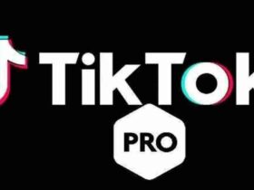 Wie Viel Geld Verdient Man Mit Tiktok Pro 1000 Aufrufe