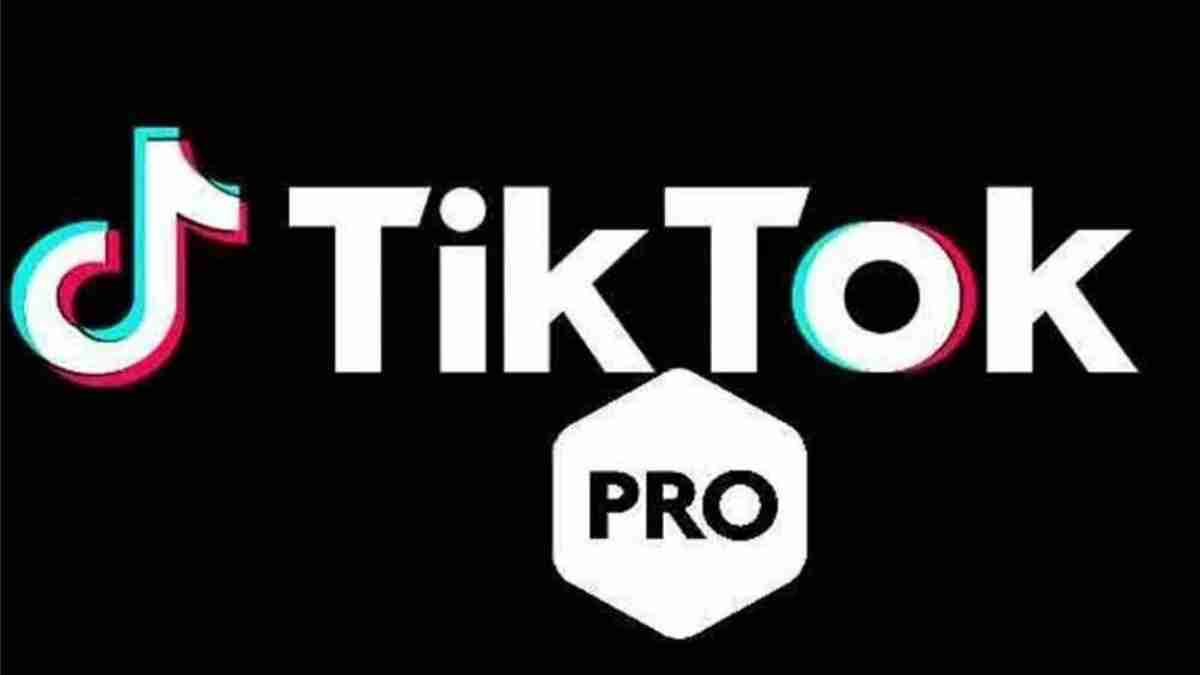 Wie Viel Geld Verdient Man Mit Tiktok Pro 1000 Aufrufe