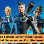Wann sind die Fortnite server wieder online