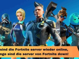 Wann sind die Fortnite server wieder online