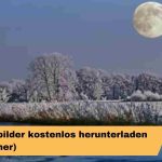 Hintergrundbilder kostenlos herunterladen