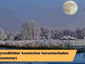 Hintergrundbilder kostenlos herunterladen