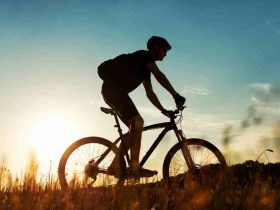 Wie Viel Speichen Hat Ein Fahrrad