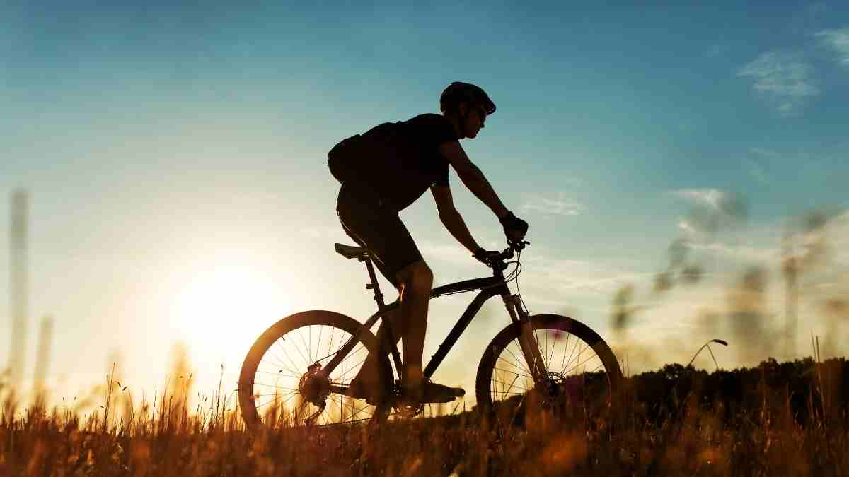 Wie Viel Speichen Hat Ein Fahrrad