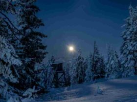Wie heißt die längste nacht des jahres vom 20. auf den 21. dezember in österreich
