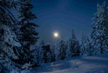 Wie heißt die längste nacht des jahres vom 20. auf den 21. dezember in österreich
