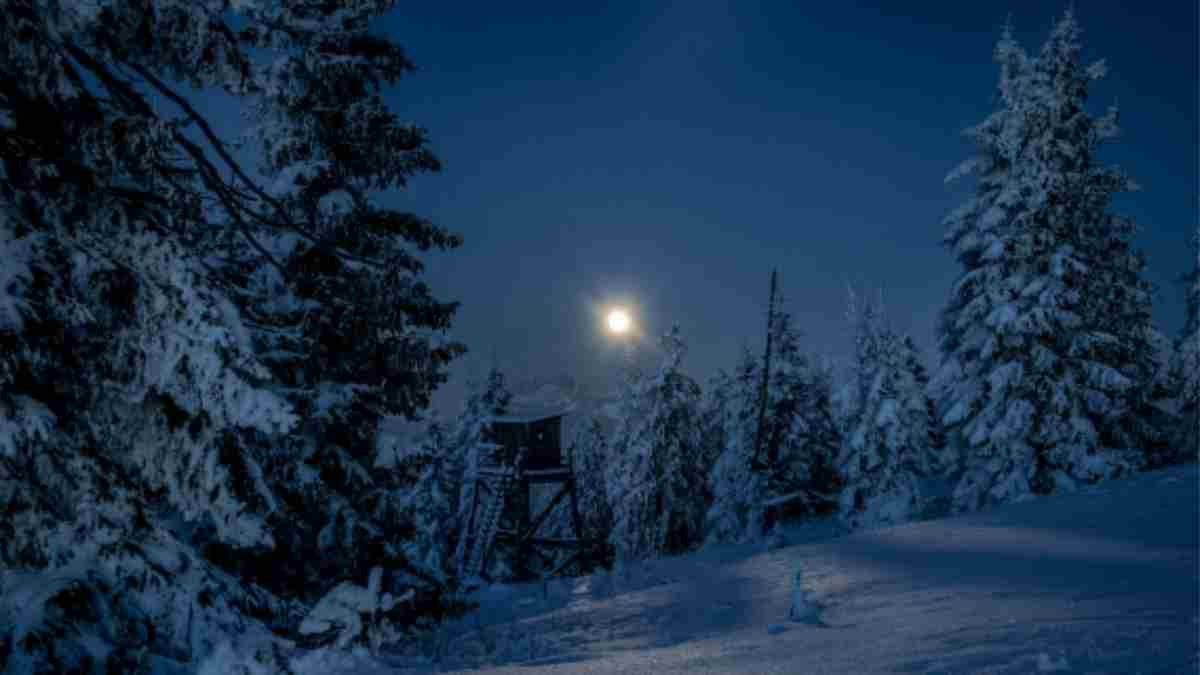 Wie heißt die längste nacht des jahres vom 20. auf den 21. dezember in österreich