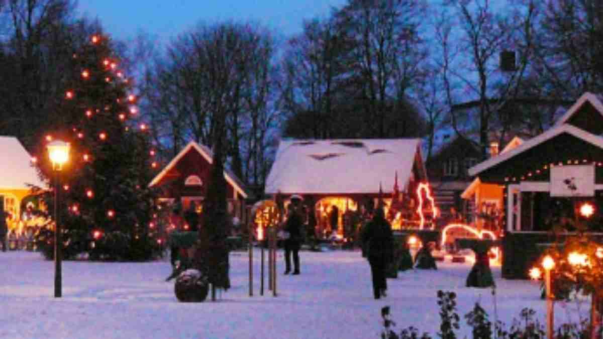 Gut Pronstorf Weihnachtsmarkt 2024