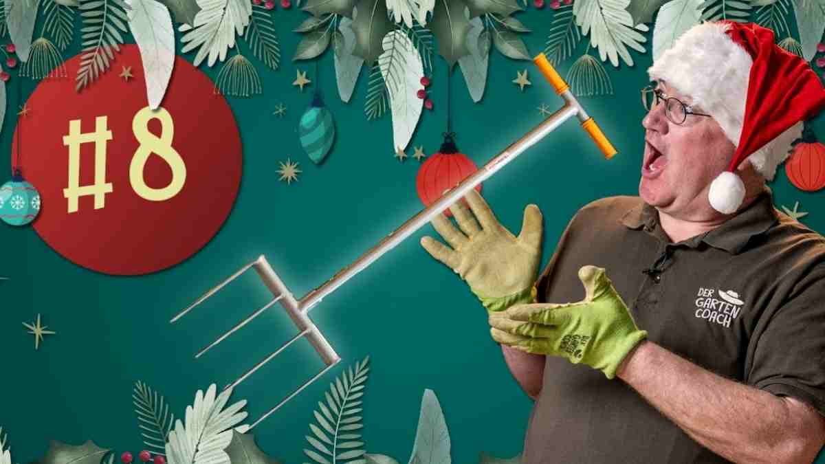 Playstation Adventskalender Gewinnspiel Code Einlösen
