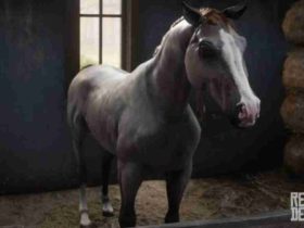 Red Dead Redemption 2 Bestes Pferd