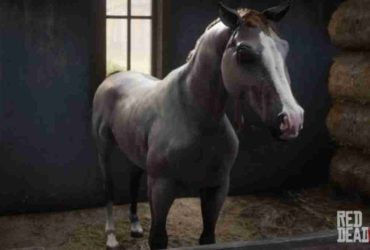Red Dead Redemption 2 Bestes Pferd