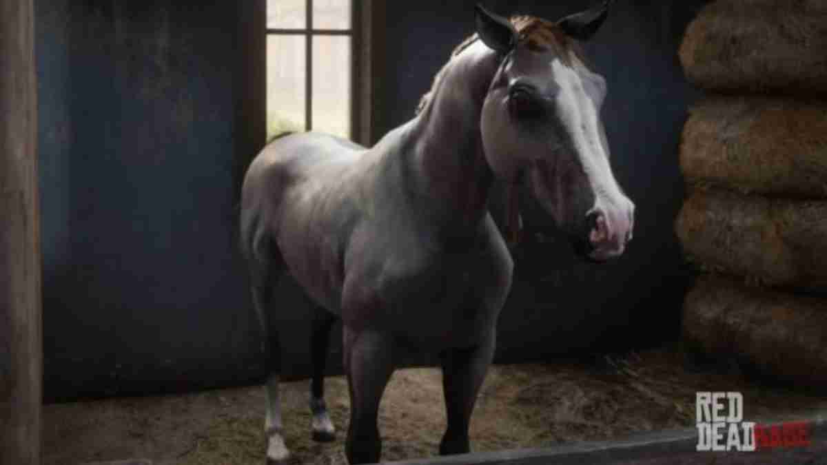 Red Dead Redemption 2 Bestes Pferd