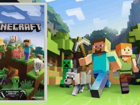 Minecraft Switch Zu Zweit Spielen