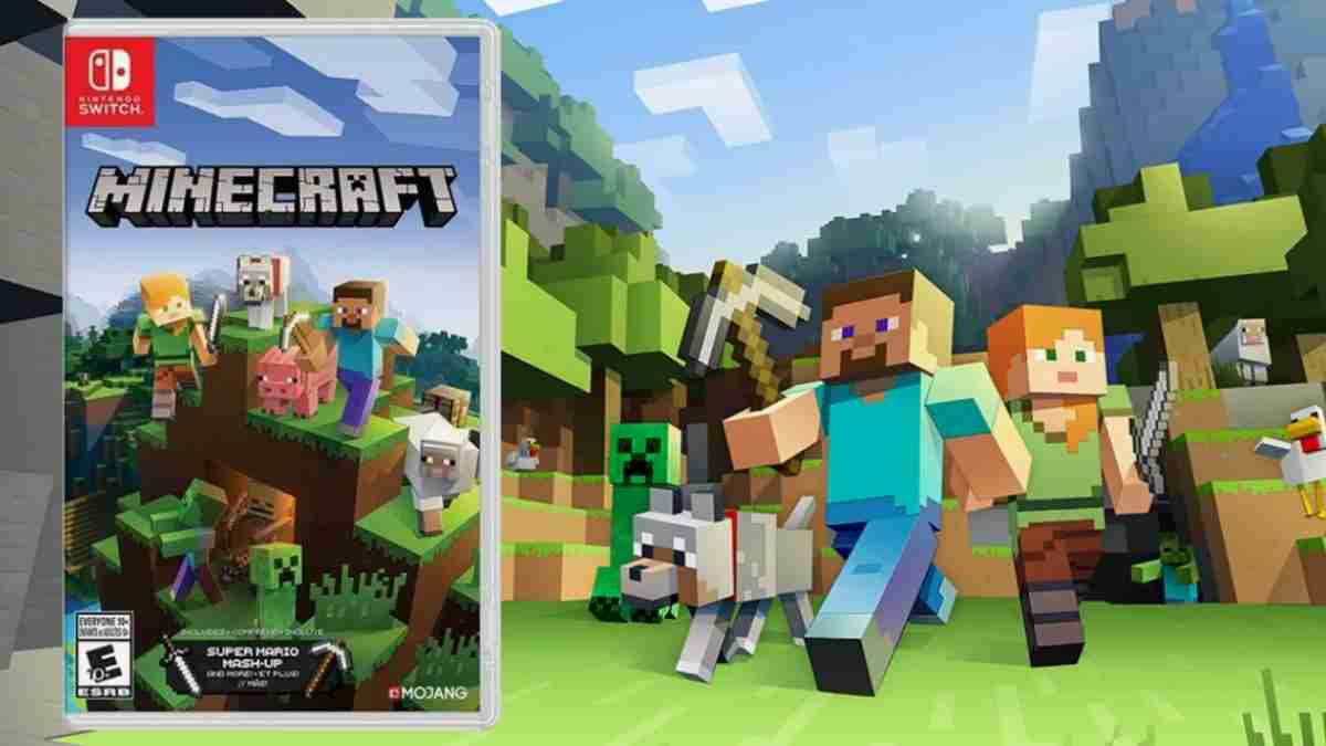 Minecraft Switch Zu Zweit Spielen