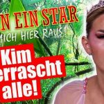 Das Große Wiedersehen Dschungelcamp 2024