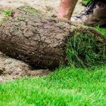 Fehler Beim Rollrasen Verlegen