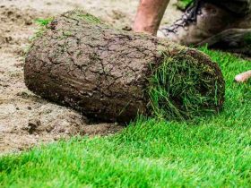 Fehler Beim Rollrasen Verlegen