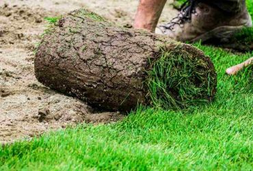 Fehler Beim Rollrasen Verlegen